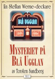 Bild på bokomslag för Mysteriet på "Blå Ugglan"