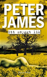 Bild på bokomslag för Ett snyggt lik
