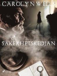 Bild på bokomslag för Säkerhetskedjan