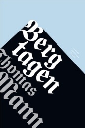 Omslagsbild för Bergtagen