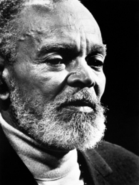 Portrait image of Chester Himes
